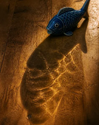Natural-light analog photography / practical set artwork showing a blue ceramic fish casting a rippled shadow that resembles a real fish swimming across a wooden table. The vertical composition preserves a clear subject and tactile handmade detail.