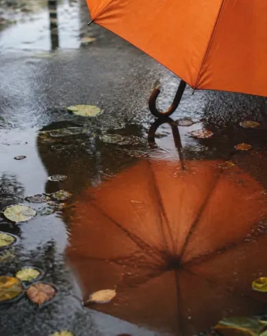 Natural-light analog photography / practical set artwork showing an orange umbrella meeting its puddle reflection to resemble a flower blooming on wet pavement. The vertical composition preserves a clear subject and tactile handmade detail.
