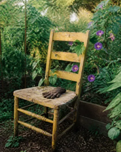 Natural-light analog photography / practical set artwork showing a chipped yellow wooden chair in a community garden with morning glory vines growing through its back. The vertical composition preserves a clear subject and tactile handmade detail.