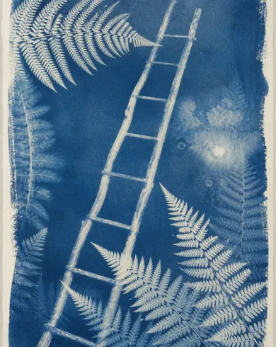 Sun-exposed cyanotype / cotton rag paper artwork depicting fern fronds and a slender wooden ladder overlapping on cyanotype paper. The vertical composition keeps the subject clear and preserves authentic craft texture.