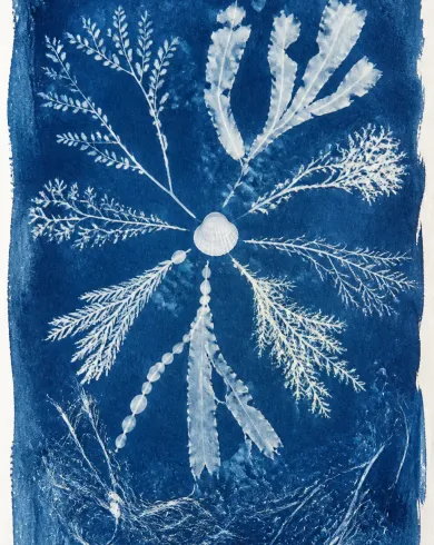 Sun-exposed cyanotype / cotton rag paper artwork depicting radially arranged seaweed and drift threads forming a numberless tide clock. The vertical composition keeps the subject clear and preserves authentic craft texture.