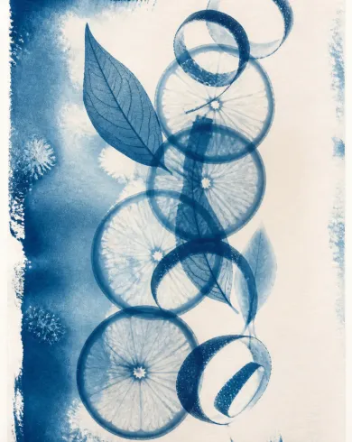 Sun-exposed cyanotype / cotton rag paper artwork depicting citrus slices and leaf veins forming translucent circular cyanotype shadows. The vertical composition keeps the subject clear and preserves authentic craft texture.