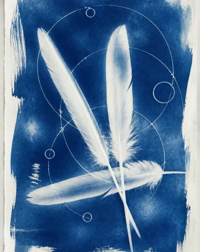 Sun-exposed cyanotype / cotton rag paper artwork depicting bird feathers, wire and rings forming a light cyanotype orbit. The vertical composition keeps the subject clear and preserves authentic craft texture.
