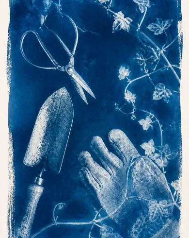 Sun-exposed cyanotype / cotton rag paper artwork depicting scissors, trowel, gloves and vines leaving cyanotype silhouettes arranged like dance steps. The vertical composition keeps the subject clear and preserves authentic craft texture.